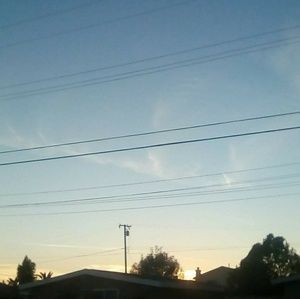 Meet your Posher, Bella